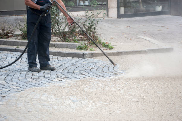 Reliable Lake Catherine, IL Pressure Washing Services Solutions